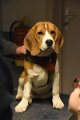 Afb_20190127_skye (14)